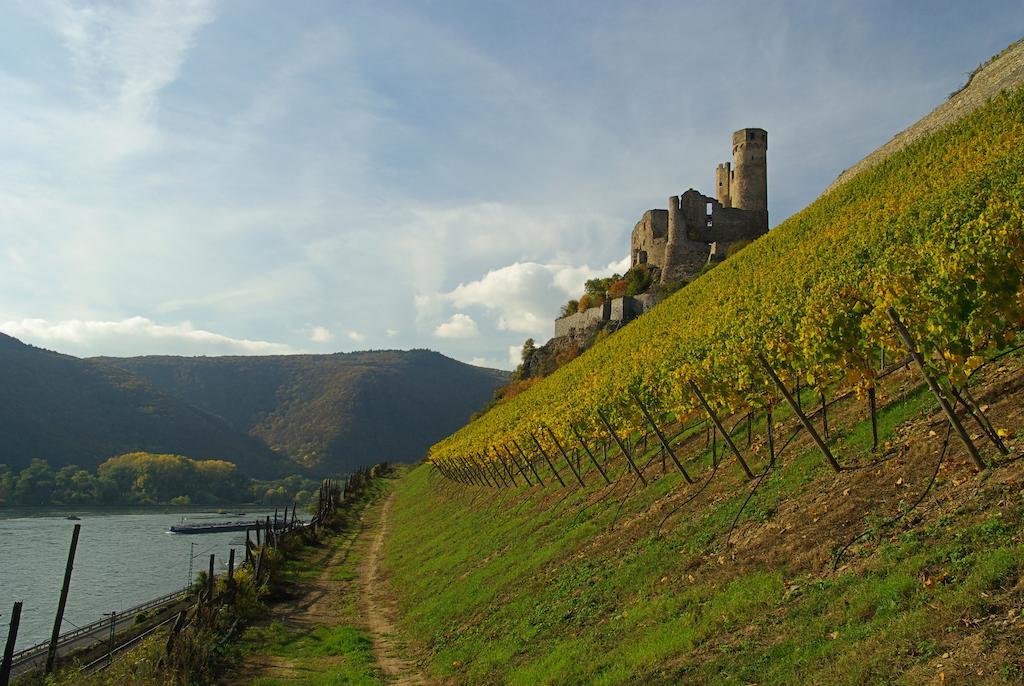 Residence Bellevue Boppard Kültér fotó